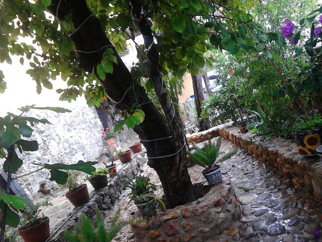 Sin Nombre