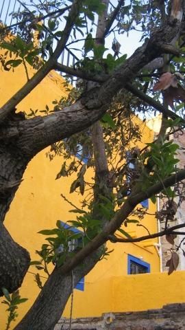 Fachda